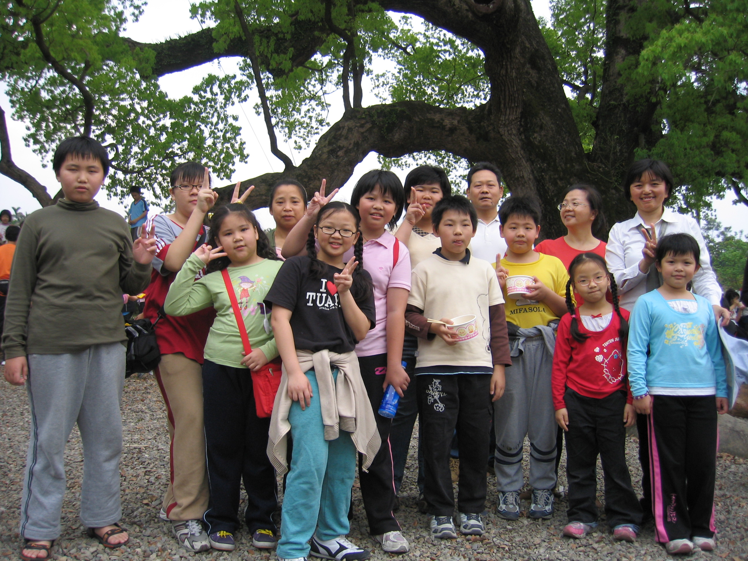 picture789798798