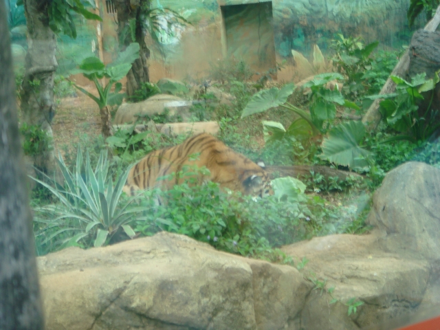DSC00977