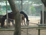 DSC00988