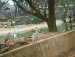 DSC00990