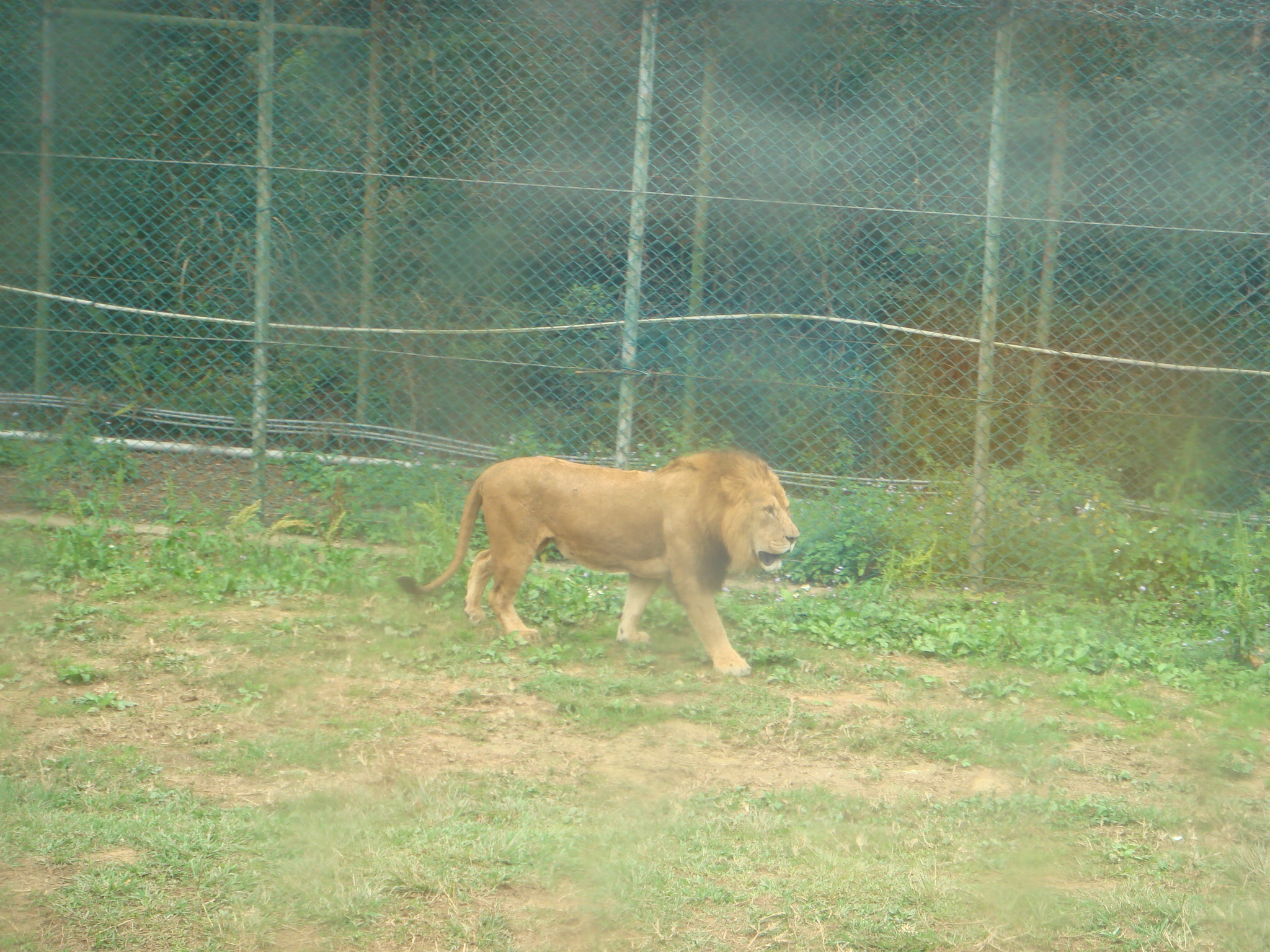 DSC01015