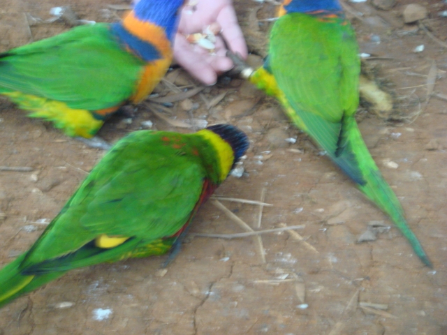 DSC01057