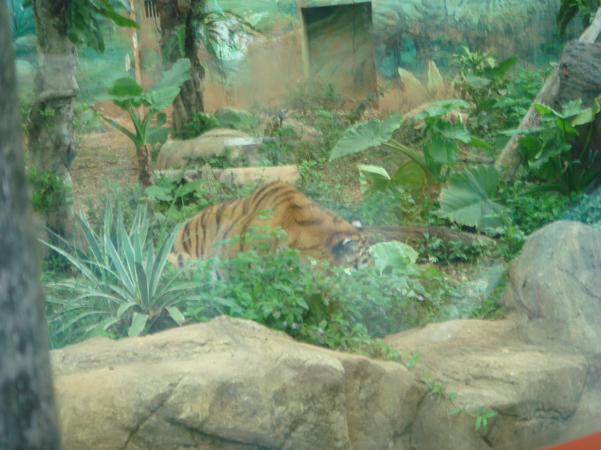 DSC00977