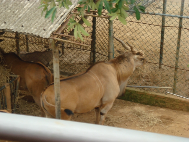 DSC00987