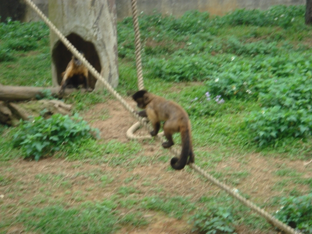 DSC01001