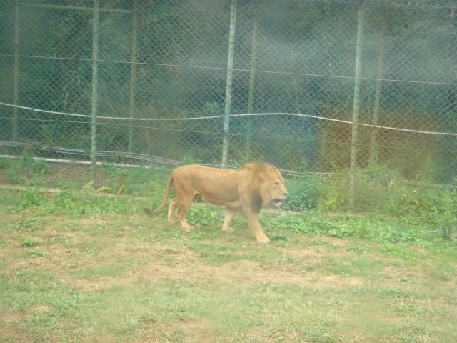DSC01015