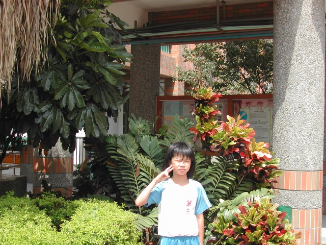 DSCN6773