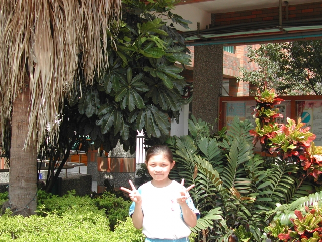 DSCN6775