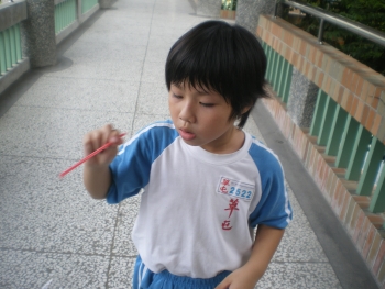 IMGP7824