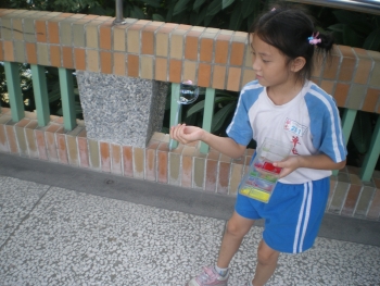 IMGP7826