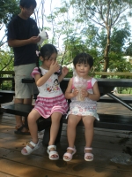 IMGP7588