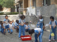 IMGP8181