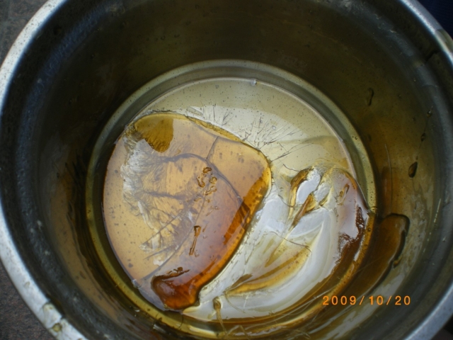 IMGP8545