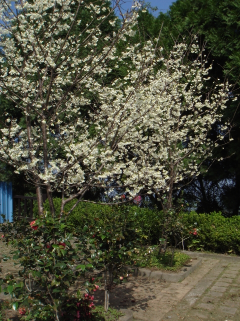 DSC00094