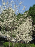 DSC00095