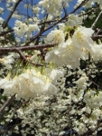 DSC00097