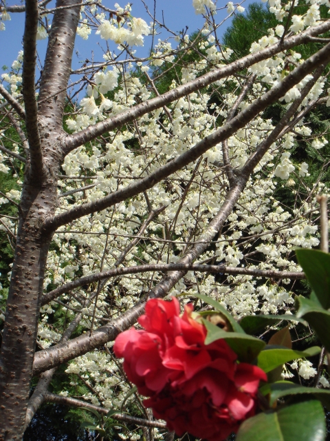 DSC00100