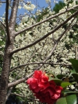 DSC00100