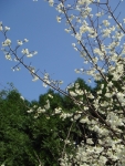 DSC00101