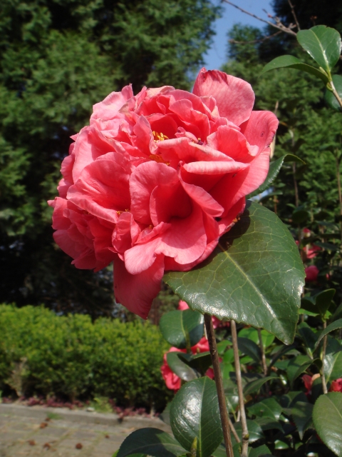 DSC00102