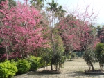 DSC00104
