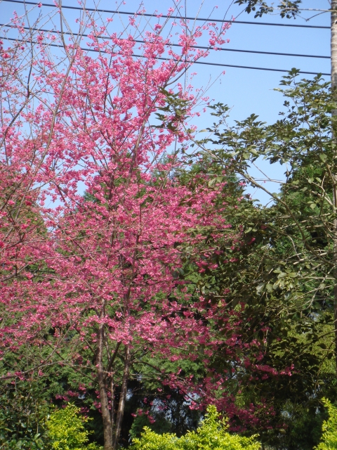DSC00107