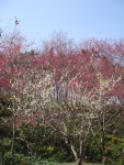 DSC00108