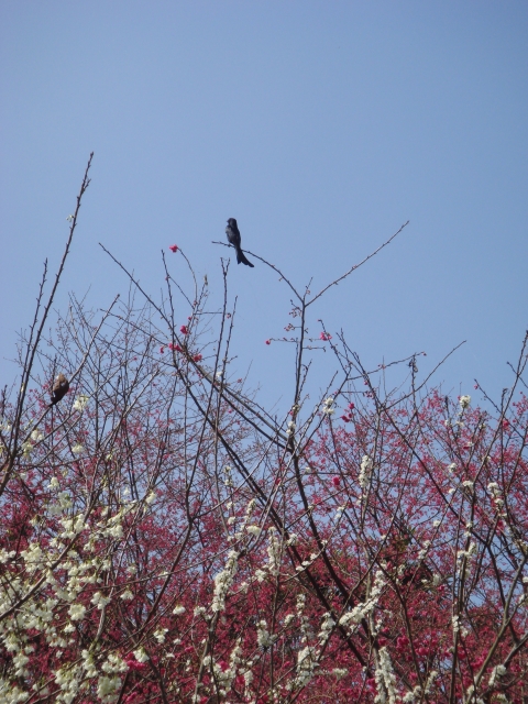 DSC00110