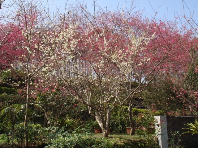 DSC00111