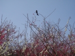 DSC00112