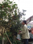 DSC00114