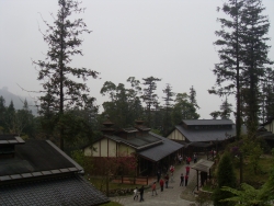 森林中的內湖國小