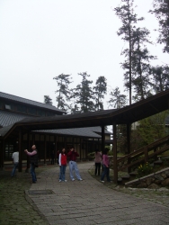 SDC18365