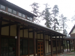 SDC18366