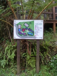 SDC18371