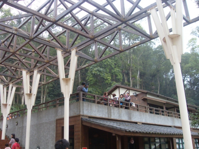 SDC18377