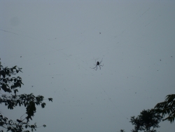 SDC18379