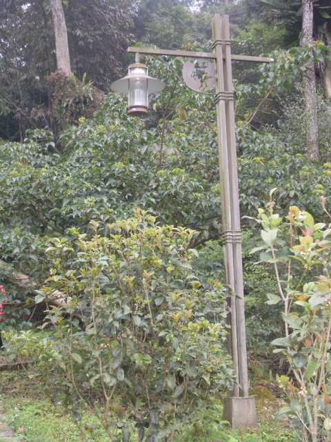 SDC18380