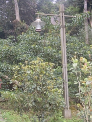 SDC18380