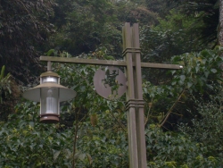 SDC18381