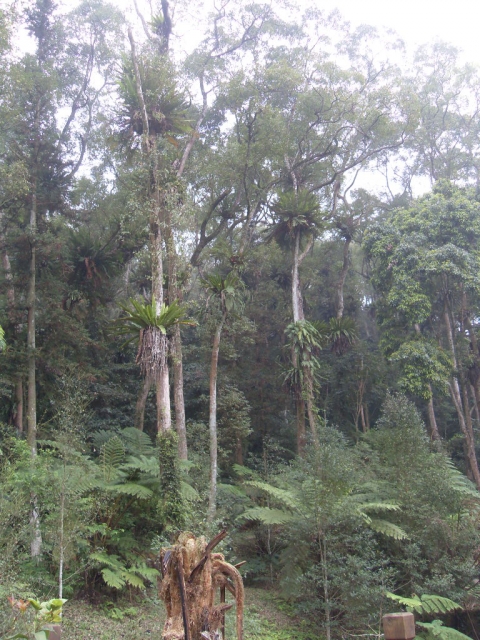 SDC18382