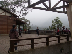SDC18383