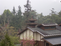 SDC18384