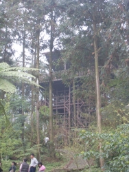 SDC18385
