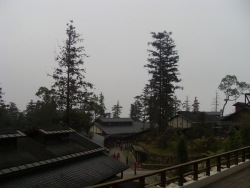 SDC18388
