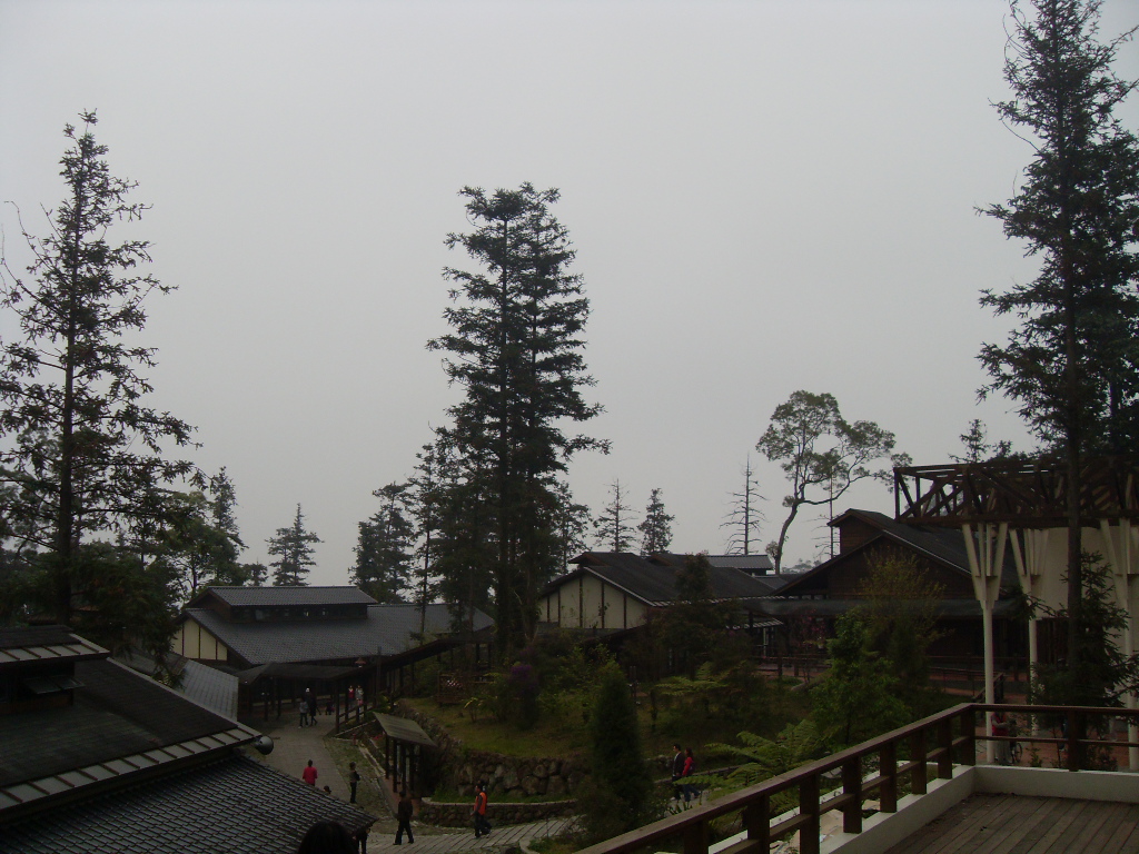 SDC18389