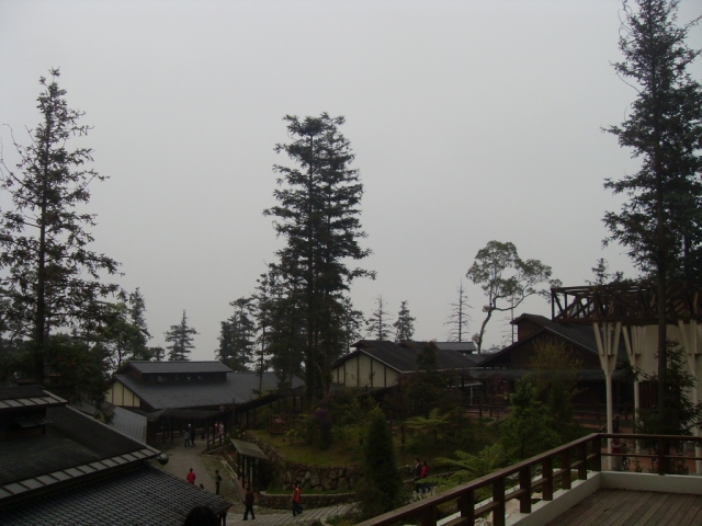 SDC18389