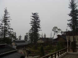 SDC18389