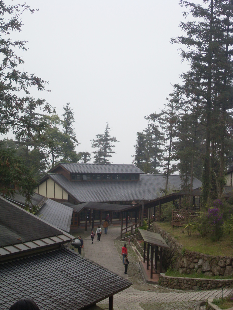 SDC18390