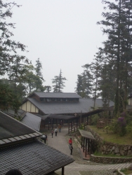 SDC18390